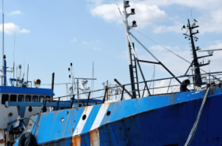 Green Logistics: Solutions for a Greener Future